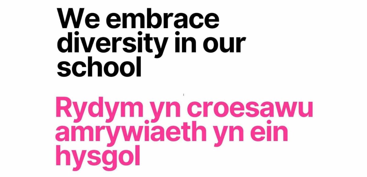 One of the free resources reads in English and Welsh : We embrace diversity in our school